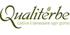 Come funziona - Logo step 2