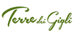 Come funziona - Logo step 2