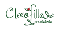 Come funziona - Logo step 2