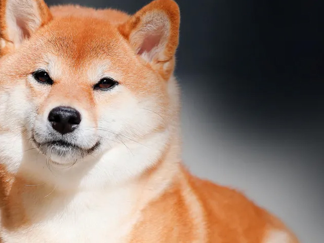 Ultra Premium Direct